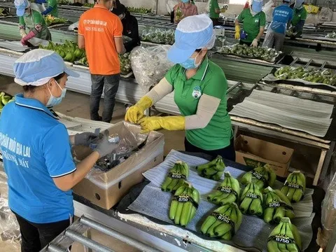 Hoàng Anh Gia Lai "miệt mài" đảm bảo tín dụng cho công ty con