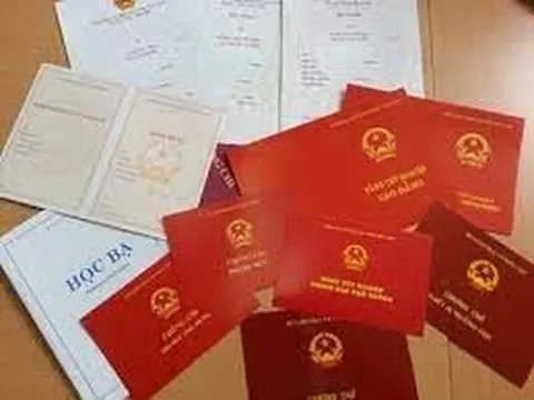 Nữ giáo viên ngoại ngữ tham gia đường dây làm giả bằng cấp