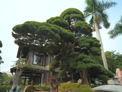 Ngắm trọn khu vườn rộng mênh mông, nhìn đâu cũng là tiền tỷ của vị phó chủ tịch: Quá đẳng cấp!