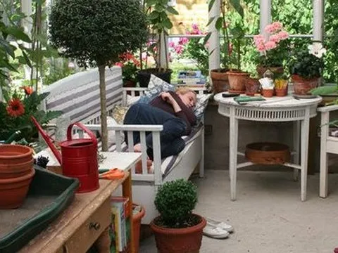 Khu vườn phủ kín rau quả sạch của người phụ nữ bắt đầu làm vườn từ năm 10 tuổi