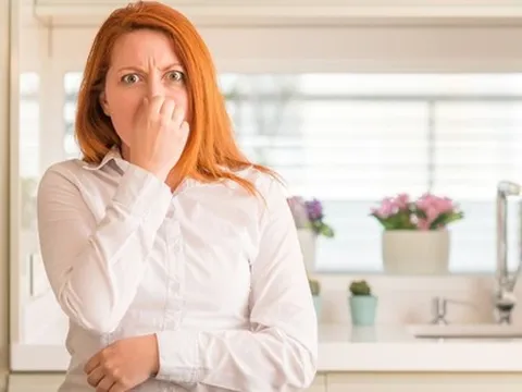 6 lý do khiến cho nhà bạn chẳng thể thơm tho và luôn có mùi mốc