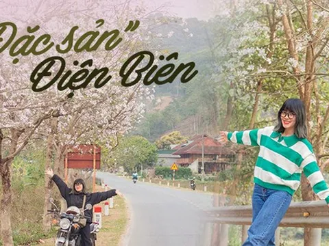 Ngất ngây trước vẻ đẹp Điện Biên mùa hoa ban nở lung linh nhất trong năm