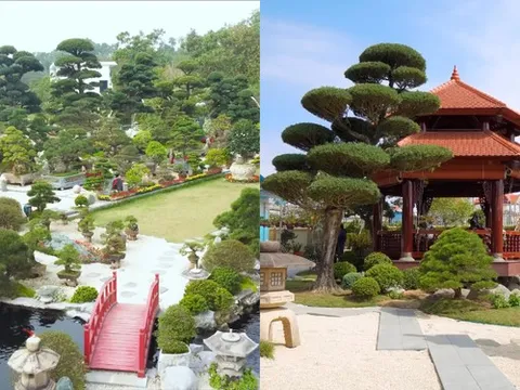 Biệt thự hàng chục tỷ chưa đủ, đây mới là thứ thể hiện đẳng cấp của giới siêu giàu, rộng mênh mông và ngốn rất nhiều tiền