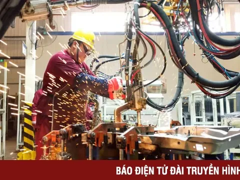 "Xây tổ đón đại bàng" khi thuế không còn là lợi thế?
