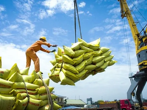Một loại nông sản xuất khẩu sang Indonesia tăng đột biến về cả kim ngạch lẫn sản lượng