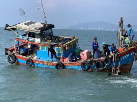 Chìm tàu đánh cá trên biển Cần Giờ, một ngư dân tử vong