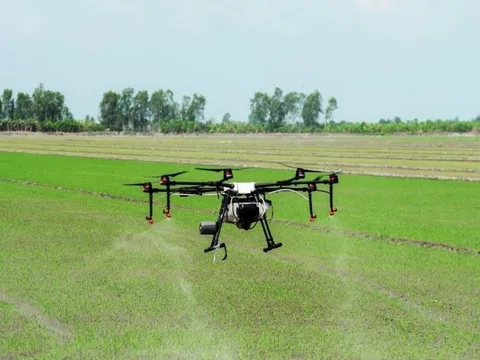 Ứng dụng công nghệ AI trong nông nghiệp cần phù hợp nhu cầu thị trường