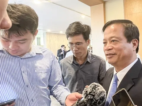 Lãnh đạo Bình Định lên tiếng về vị trí dự án gang thép 'khủng' ở bờ biển nổi tiếng