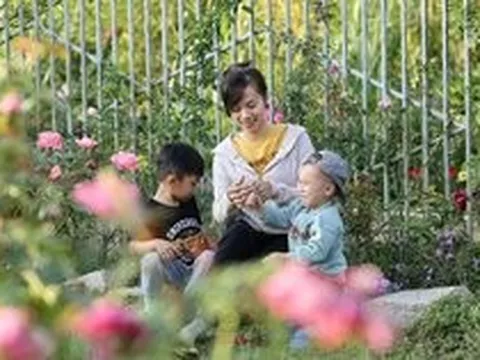 Bà mẹ 2 con đổ mồ hôi trồng hoa trái và rau sạch, tìm bình yên trong khu vườn nhỏ