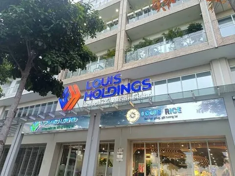 Lộ diện tân Chủ tịch Louis Capital