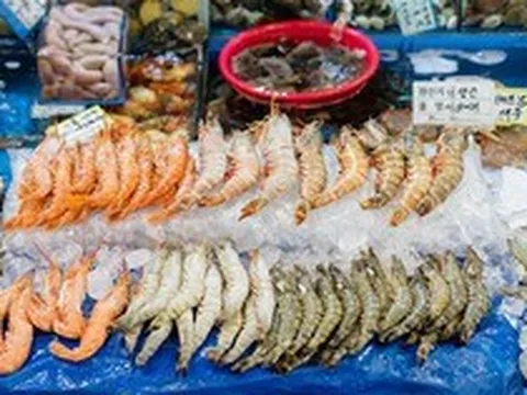 Cô gái Việt kể chuyện đi chợ hải sản tươi sống nổi tiếng Hàn Quốc: Có thể ăn ngay tại chợ luôn, 4 triệu đồng một bữa không gọi là đắt