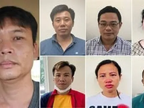 Nâng khống giá cây xanh, chia chác tiền tỉ