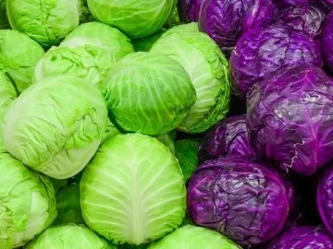 Vì sao bắp cải được coi là 'kho thuốc' của người nghèo?