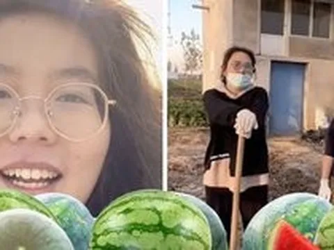 Từ bỏ tấm bằng thủ khoa đại học cùng mức lương khủng, cô gái vẫn quyết "bỏ phố về quê" trồng dưa với thu nhập bằng 1/10 lương cũ vì một lý do