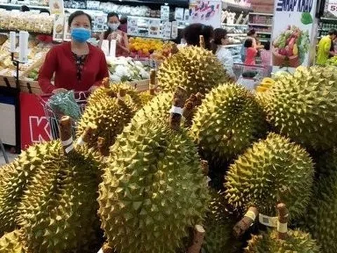Xuất khẩu nông, lâm, thủy sản đạt trên 11 tỷ USD trong Quý I/2023