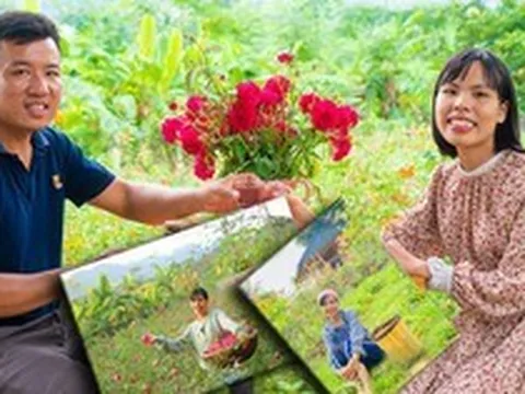 Vợ chồng trẻ bỏ phố về quê, cải tạo 20.000 m2 vườn hoang thành "rừng" hoa hồng