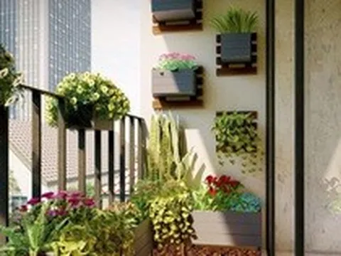 5 loại cây nên trồng ở ban công để chiêu tài, càng tươi tốt gia chủ càng giàu sang