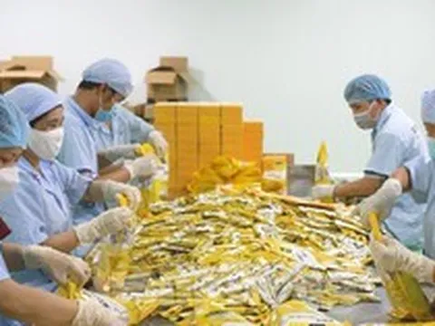 Doanh nghiệp nhỏ và vừa đang được ‘cấp cứu’ ra sao?