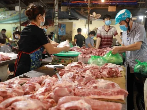 Giá lợn hơi tiếp tục "lao dốc": Những giải pháp gỡ khó