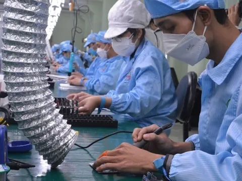 Đà Nẵng: Tại sao nhiều doanh nghiệp đứng trước nguy cơ phá sản?