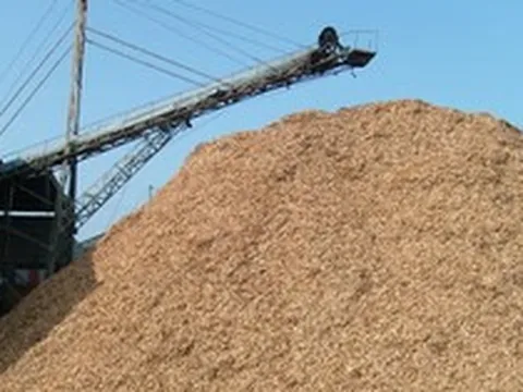 Doanh nghiệp 'kêu' bị chậm hoàn VAT, Tổng cục Thuế nói gì?
