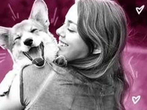 Ăn bữa cơm 40k phải đắn đo nhưng tiêu 70 triệu cho chó mèo là chuyện thường