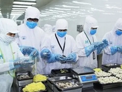 Quy mô GDP Việt Nam đạt 2.300 nghìn tỷ đồng, ngành nào đóng góp lớn nhất trong quý 1/2023?