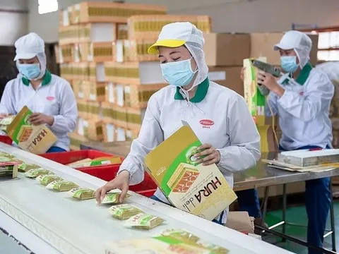 Tăng trưởng mạnh năm 2022, PAN Group lên kế hoạch thận trọng năm 2023