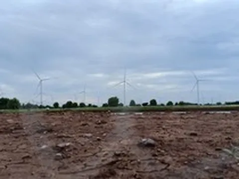 Bạc Liêu kiến nghị Bộ Công Thương điều chỉnh lại giá điện gió, điện mặt trời