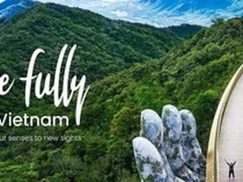 Kỳ vọng … visa