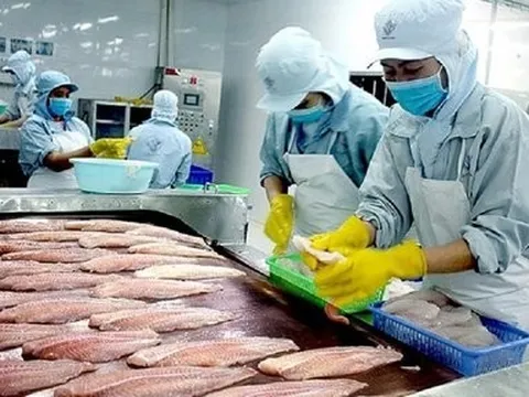 Xuất khẩu cá tra sang Ả Rập Xê Út tăng mạnh, cơ hội rất lớn