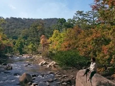 Bỏ qua những ồn ào phố thị, hãy thử một ngày thảnh thơi ở Đa Mân