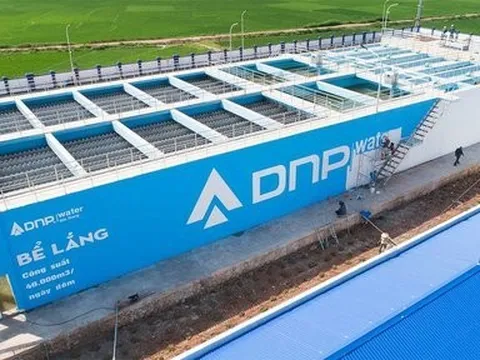 Sau một thập kỷ tái cơ cấu, DNP Holding kinh doanh ra sao?
