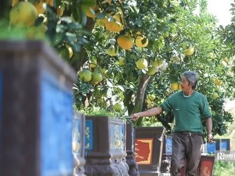 Quản trị hợp tác xã theo nguyên tắc "đối nhân, không phải đối vốn"
