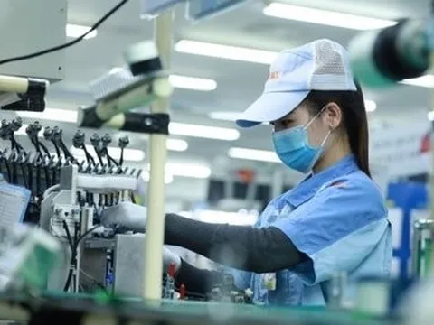 Yêu cầu Bộ Tài chính làm rõ 5 vấn đề cốt lõi về thuế tối thiểu toàn cầu