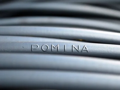 Cổ phiếu Thép Pomina bị đưa vào diện kiểm soát