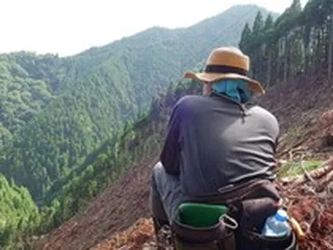 Mua đất rừng giá rẻ như cho, người đàn ông giàu sụ từ tiền đền bù trả đều đặn hàng năm: Ngồi không đếm cột điện nhân thành tiền cũng đủ sống