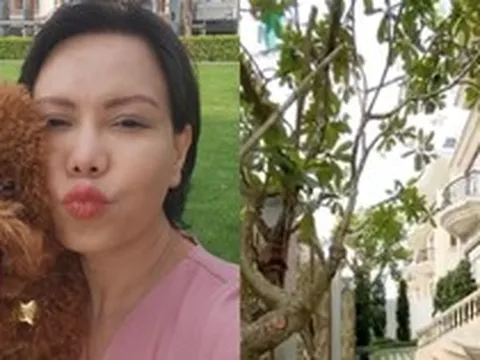 Choáng với cơ ngơi 240 tỷ đồng của NS Việt Hương: Bên ngoài xịn như biệt phủ, không gian 3 tầng ra sao?