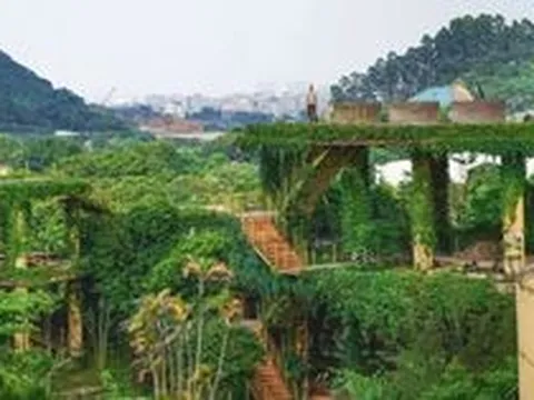 Đại gia Trung Quốc chi tiền khủng mua khu vườn rộng 30.000m2 để biến thành tác phẩm nghệ thuật: Mất nhiều năm mới mua xong đất, ròng rã 20 năm vẫn chưa hoàn thành