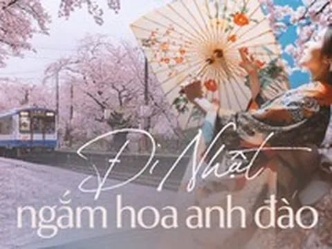 Người Việt sang Nhật du lịch cao kỷ lục để ngắm mùa hoa anh đào, cùng lịch trình tháng 5 nếu chưa sợ muộn