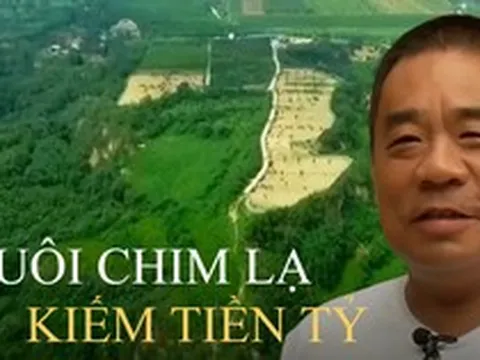 Người đàn ông làm giàu từ ‘chim cao 2m’, giá một con đã 34 triệu: Khi người khác thua lỗ vẫn có sáng kiến 'lội ngược dòng' kiếm 24 tỷ đồng/năm