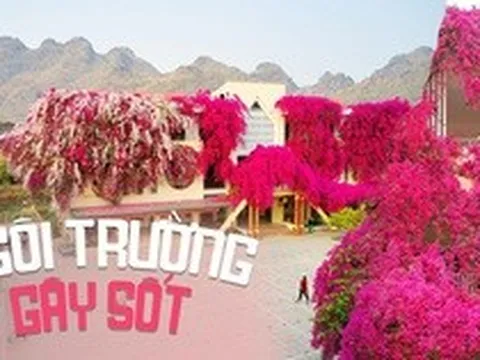 Rủ nhau du lịch Sơn La để chụp ảnh cùng "ngôi trường hoa giấy"