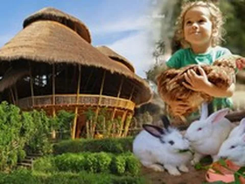 Ngôi trường quốc tế ấn tượng từ vẻ ngoài, chủ yếu làm bằng tre, dành giải thưởng kiến trúc đình đám: Đến cách giảng dạy cũng khác biệt