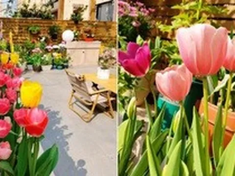 Người phụ nữ 40 tuổi tự tay cải tạo khu vườn 40m² khiến ai nhìn cũng mê