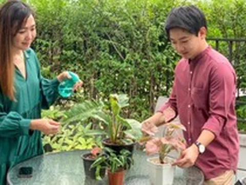 Nên chọn mua nhà ngoại ô hay nhà trong trung tâm thành phố?