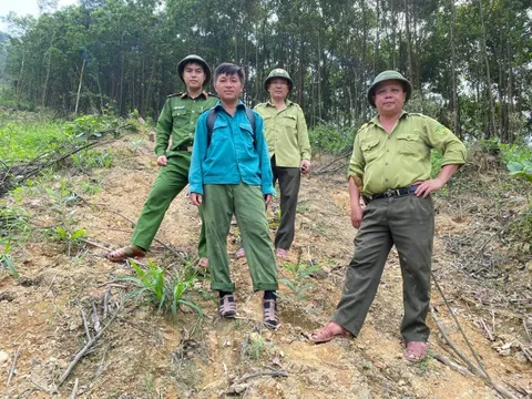 Bắt quả tang đối tượng chặt phá rừng tự nhiên