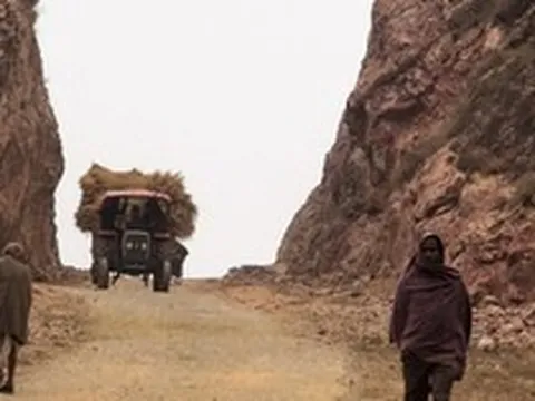 Bỏ việc lương 6 tỷ/năm, mặc vợ phản đối, người đàn ông vào núi sâu nuôi ‘mỹ nhân đen’, thu nhập đều đặn hơn 200 tỷ/năm