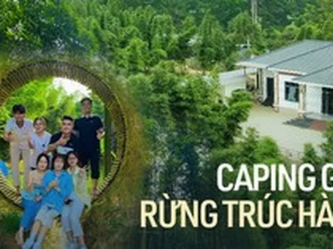 Sự thật về nơi có rừng trúc xanh mướt, nhiều người lùng sục suốt nhiều ngày qua vì muốn đưa gia đình tới tránh nóng