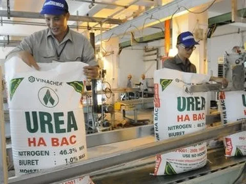 Đạm Hà Bắc lỗ luỹ kế hơn 3.100 tỷ đồng