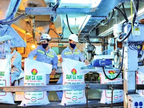 Lợi nhuận Đạm Cà Mau “bốc hơi” 85% trong quý đầu năm